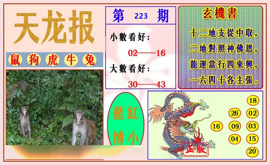 天龙报
